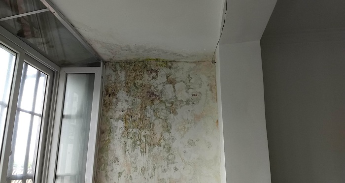 房屋天花板渗漏导致墙壁发霉（图片来源：网络）