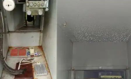 潮湿